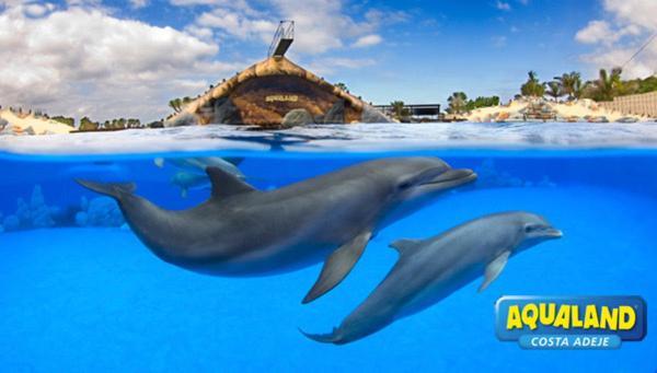 Royal Ocean View - Top Localization Адехе Экстерьер фото